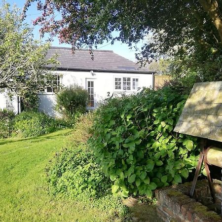 Cozy Country Cottage With Beautiful Rural Views New Quay Exterior foto