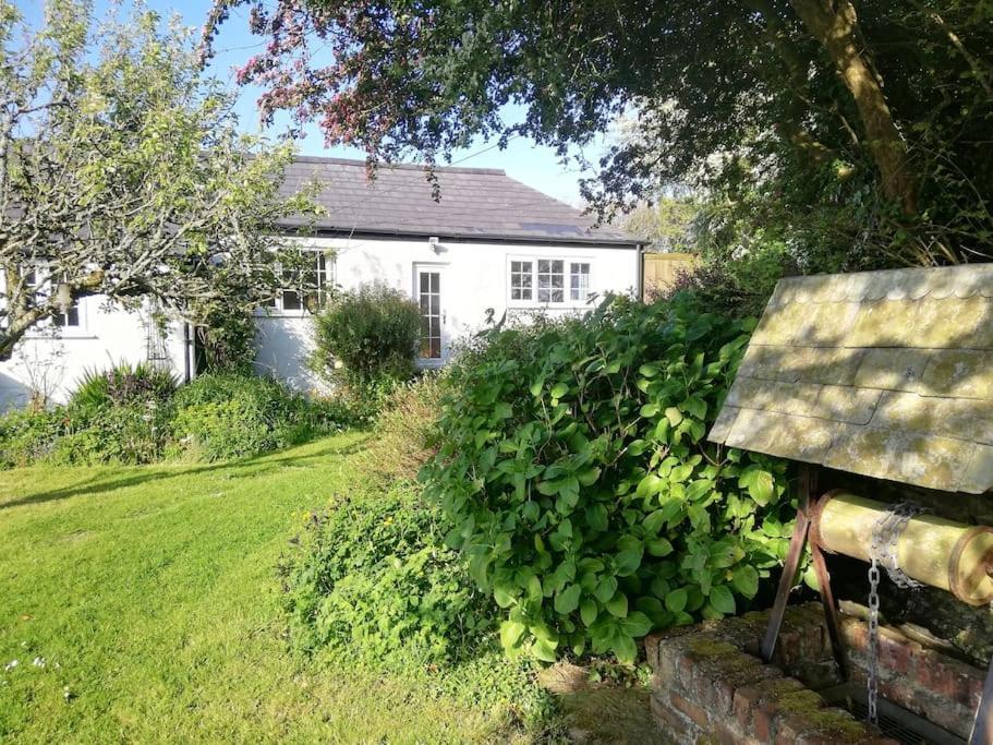 Cozy Country Cottage With Beautiful Rural Views New Quay Exterior foto